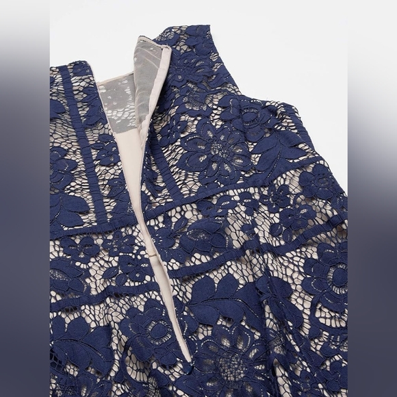 London Times Women's Plus Size (16W) Flower Bloom Lace Fit and Flare Dress - Picture 4 of 15